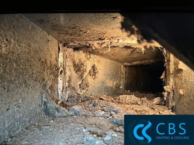 Duct inspection camera revealing accumulated dust, mold, and debris inside supply ductwork of an older Virginia home